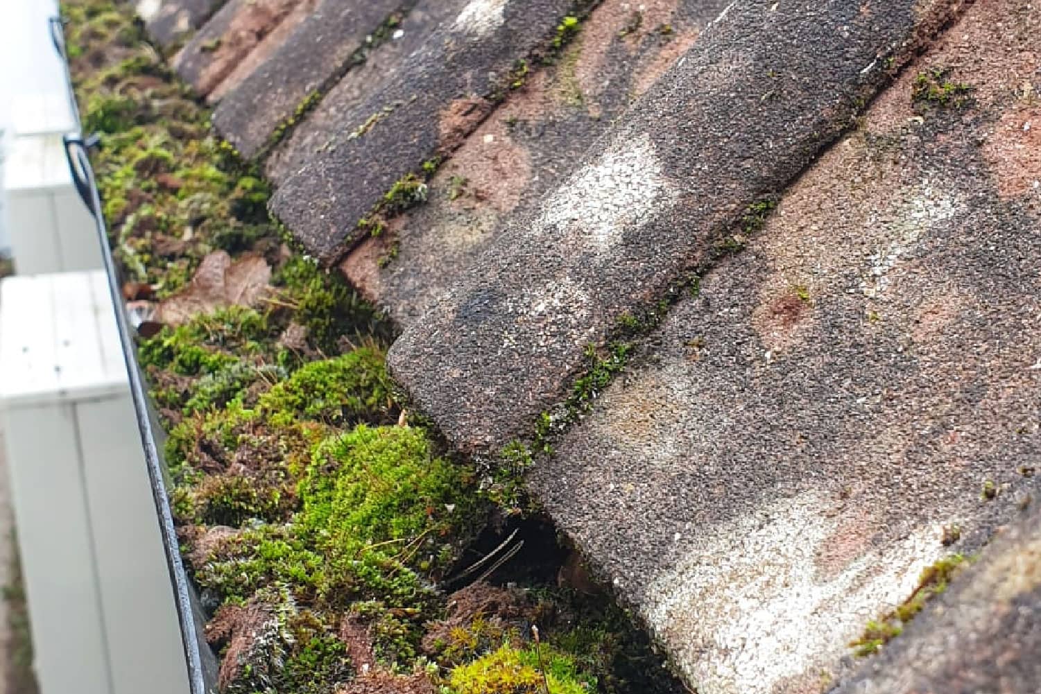 Pure Flow H2O Gutter Cleaning & Clearing